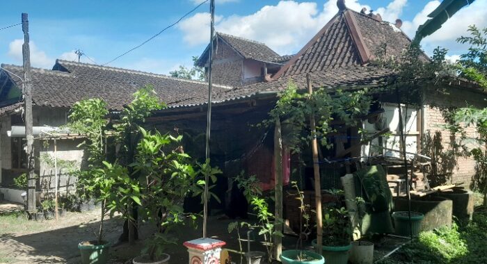 Operasi Penangkapan di Sukoharjo, Tim Densus 88 AT Geledah Rumah Terduga Teroris di Desa Parangjoro