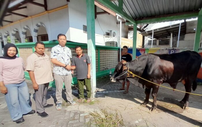 PT GFT Indonesia Investment Salurkan CSR Sapi Kurban untuk Warga Ngawi pada Iduladha 2026