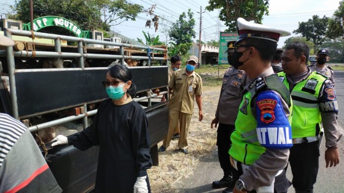 Sukoharjo Waspada PMK, Polisi Lakukan Penyekatan dan Pemeriksaan Kendaraan Pengangkut Ternak