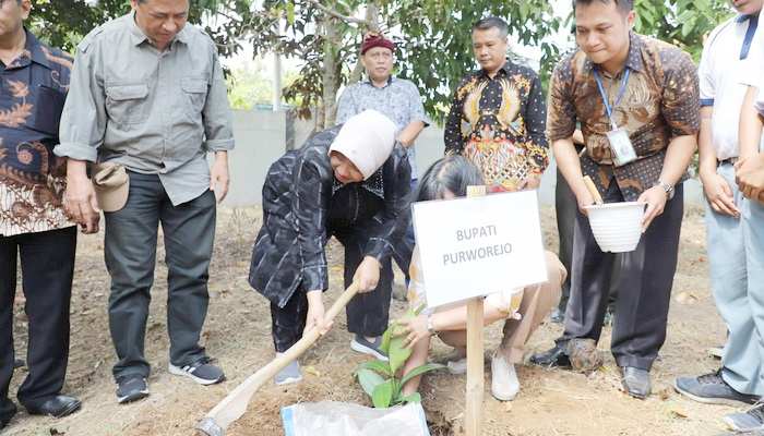 Hadiri Smandafest 2024, Bupati Purworejo Tanam Pohon Manggis