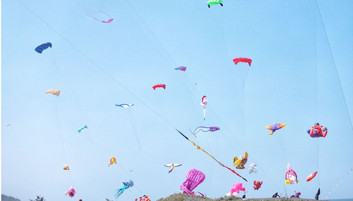 Festival Layang-layang Nasional 2024 Digelar di Ketawang Purworejo