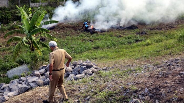 Asap Pembakaran Jerami Ganggu Lalu Lintas Jalan Tol, Gubernur Jateng Turun Tangan