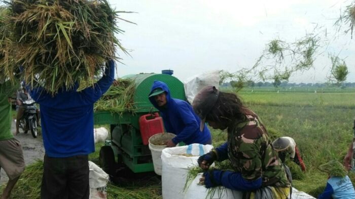 Terancam El Nino, Petani di Sukoharjo Minta Jaminan Kemudahan Pembelian BBM Pompa Air