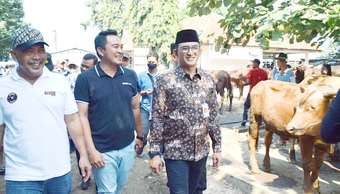 Jelang Idul Adha 2024, Pemkab Banyumas Cek Kesehatan Hewan Ternak