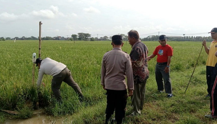 Cegah Korban Jiwa, Camat Sukoharjo Gandeng Polisi Razia Jebakan Tikus Beraliran Listrik