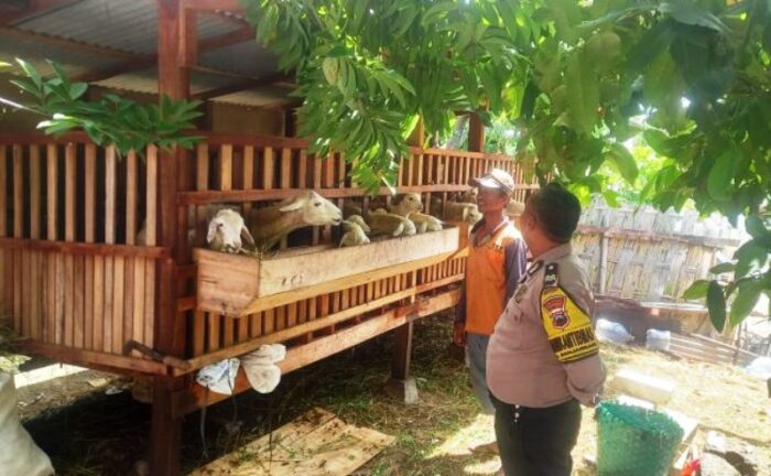Cegah PMK, Polresta Surakarta Kerahkan Bhabinkamtibmas Cek Peternakan Warga