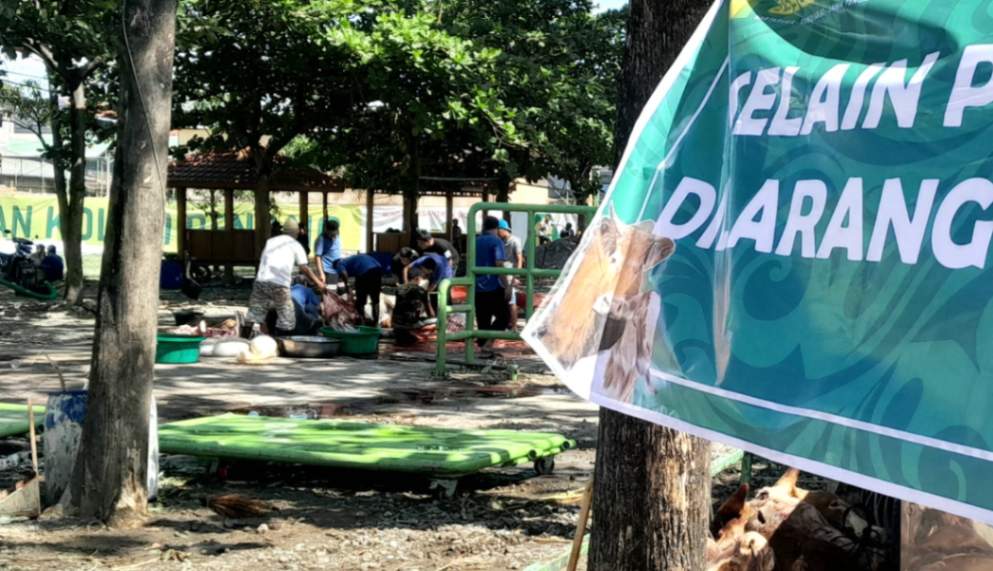 PPMI Assalaam Sembelih 65 Hewan Kurban, Santri Dilibatkan Dalam Distribusi